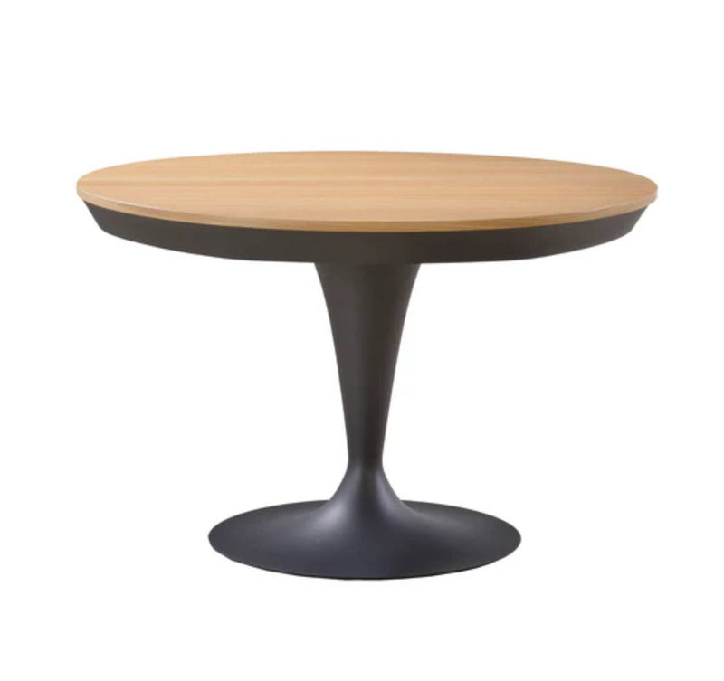 Eclipse Extendable Dining Table-zoom-