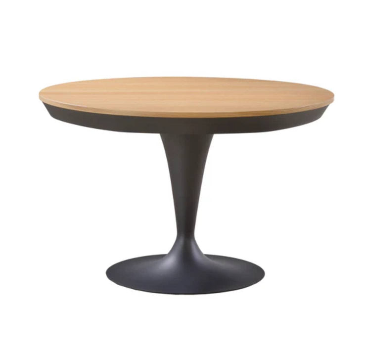 Eclipse Extendable Dining Table