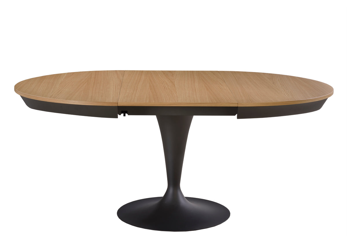 Eclipse Extendable Dining Table-2