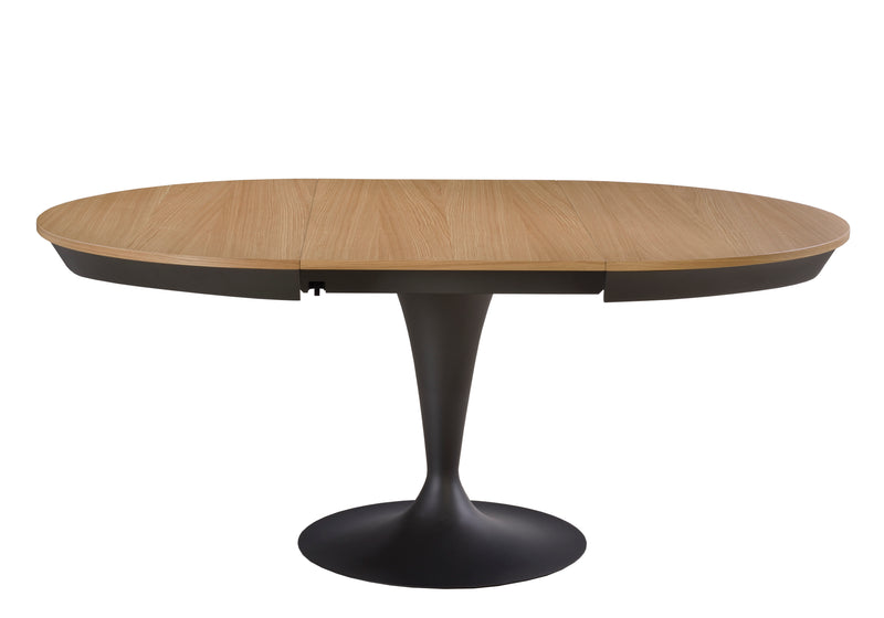 Eclipse Extendable Dining Table-zoom-