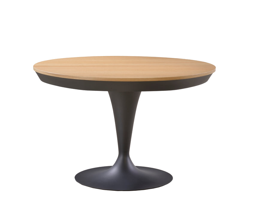 Eclipse Extendable Dining Table